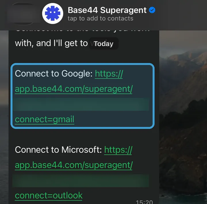 הודעת העוזר עם הלינק Connect to Google מסומן